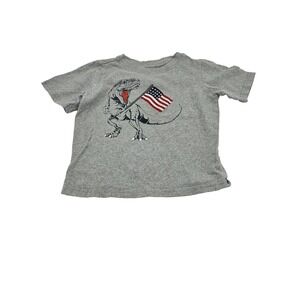 Chemistry Dinosaur T-Shirt 4T Gray Short Sleeve USA Flag Graphic‎ Toddler